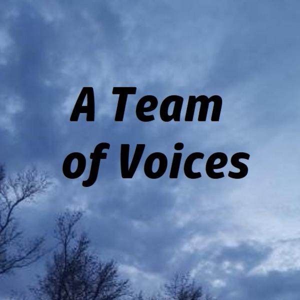 A Team of Voices