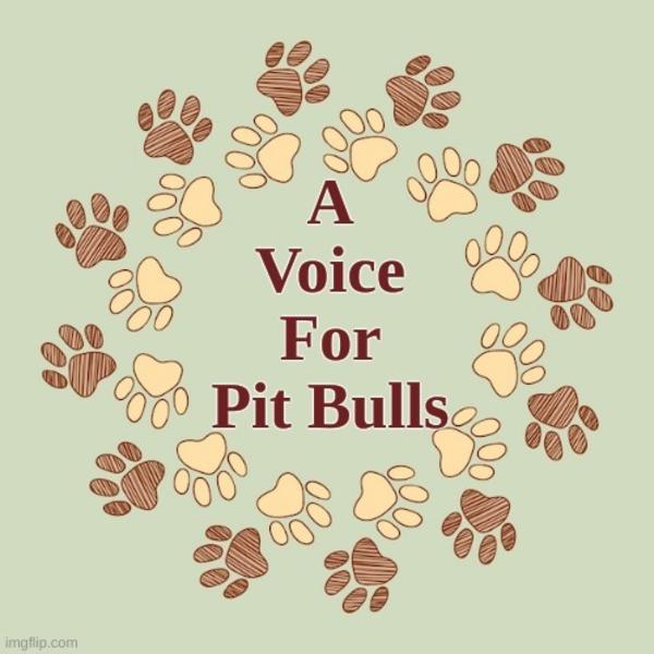 A Voice For All Animals